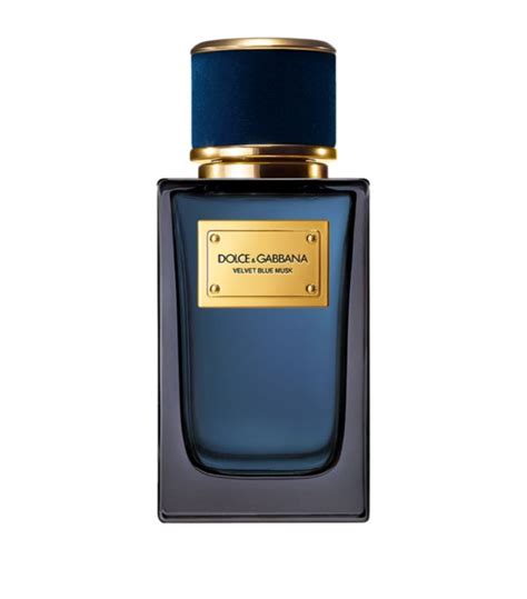 dolce gabbana velvet musk